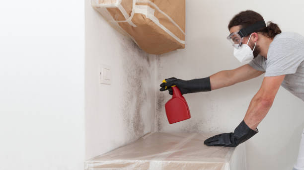 Professional Crawl Space Mold Remediation technician working in Cranbury, NJ