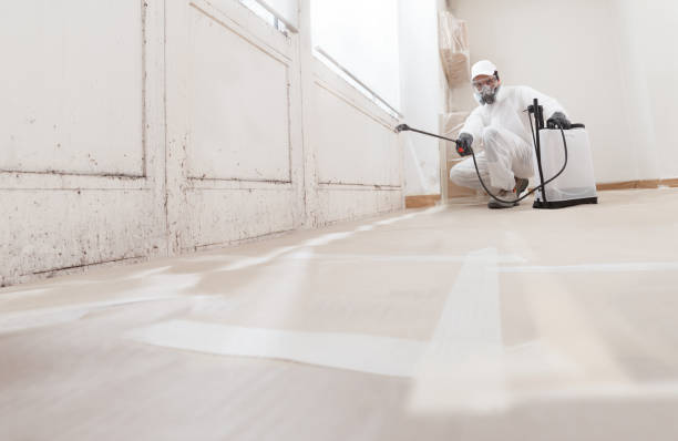 24/7 Emergency Crawl Space Mold Remediation experts in Cranbury, NJ