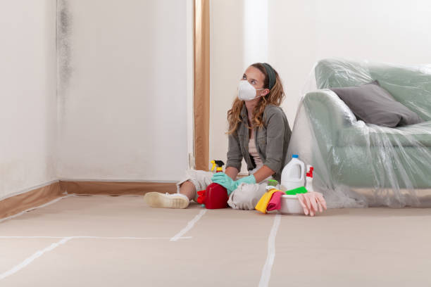 Reliable Crawl Space Mold Remediation contractor in Cranbury, NJ by Mold Remediation HQ